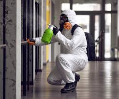 Mold Remediation for Rental Properties in Junction City, CA